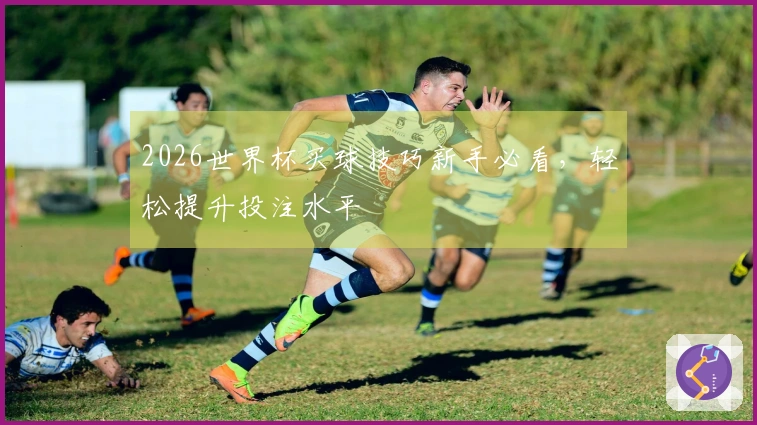 2026世界杯买球技巧新手必看，轻松提升投注水平