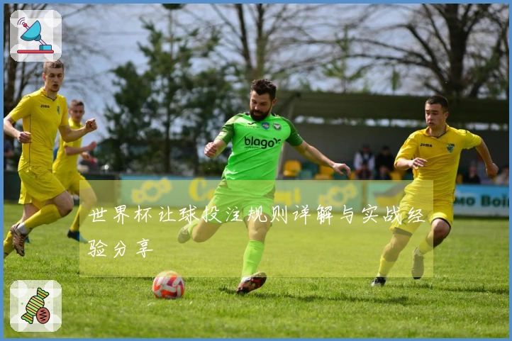 世界杯让球投注规则详解与实战经验分享