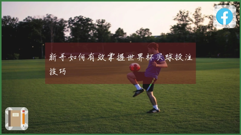 新手如何有效掌握世界杯买球投注技巧
