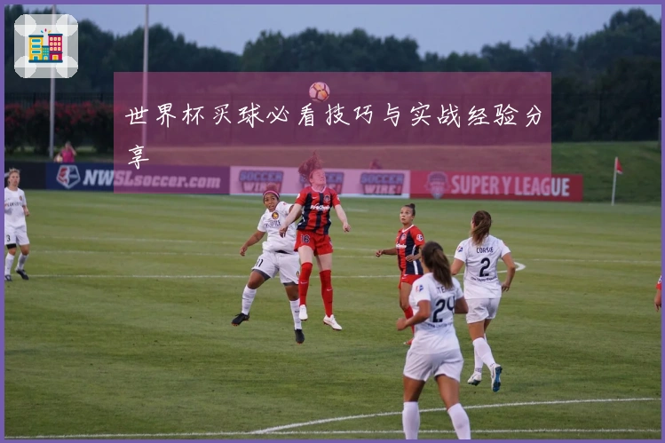 世界杯买球必看技巧与实战经验分享