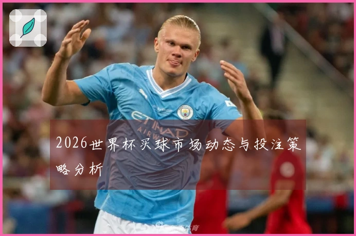2026世界杯买球市场动态与投注策略分析