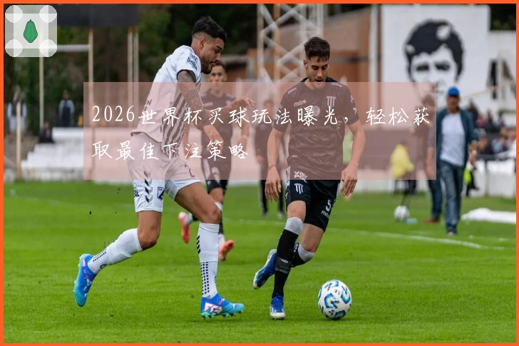 2026世界杯买球玩法曝光，轻松获取最佳下注策略