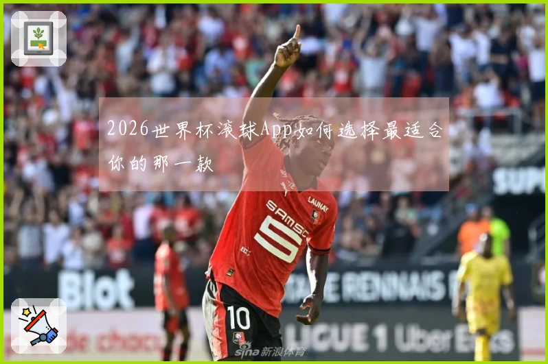 2026世界杯滚球App如何选择最适合你的那一款