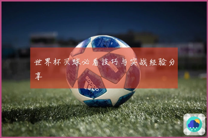 世界杯买球必看技巧与实战经验分享